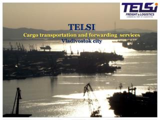 TELSI Cargo transportation and forwarding services Vladivostok city