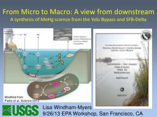 From Micro to Macro: A view from downstream