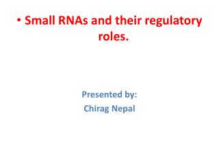 Small RNAs and their regulatory roles. Presented by: Chirag Nepal