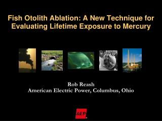 Fish Otolith Ablation: A New Technique for Evaluating Lifetime Exposure to Mercury