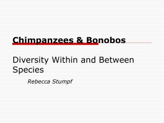 Chimpanzees &amp; Bonobos Diversity Within and Between Species