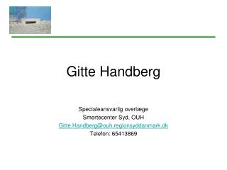 gitte handberg