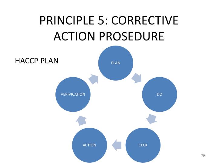 principle 5 corrective action prosedure