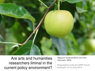 Are arts and humanities researchers liminal in the current policy environment?