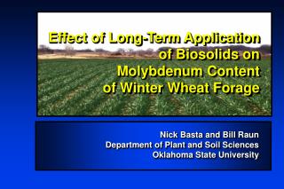 Effect of Long-Term Application of Biosolids on Molybdenum Content of Winter Wheat Forage