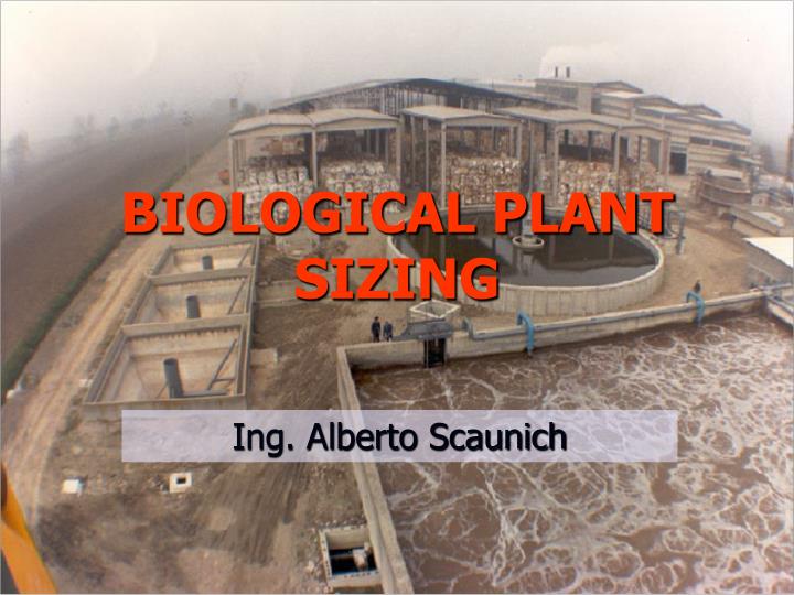 biological plant sizing