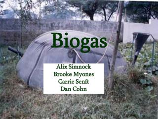 Biogas