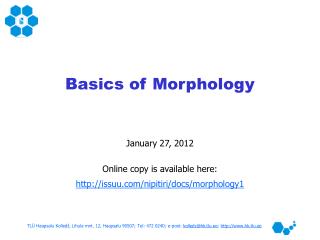 Basics of Morphology