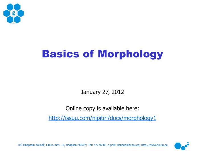 basics of morphology