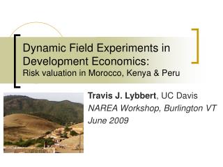 Dynamic Field Experiments in Development Economics: Risk valuation in Morocco, Kenya &amp; Peru
