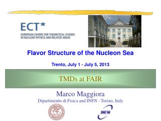 Marco Maggiora Dipartimento di Fisica and INFN - Torino, Italy