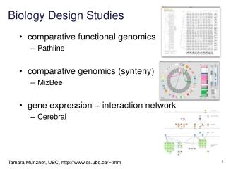 Biology Design Studies