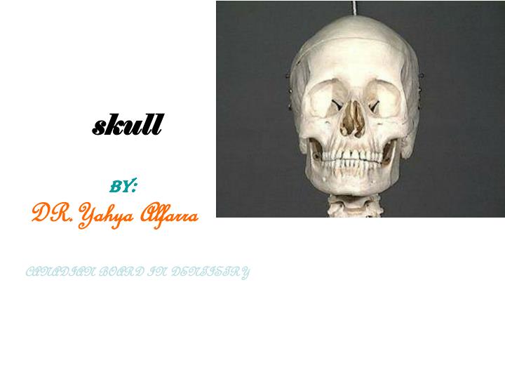 skull by dr yahya alfarra canadian board in dentistry