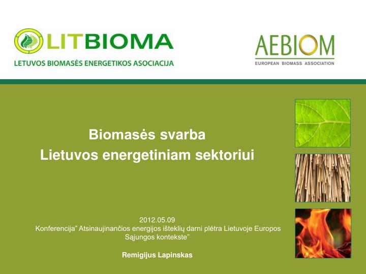 biomas s svarba lietuvos energetiniam sektoriui