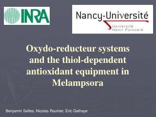 Oxydo-reducteur systems and the thiol-dependent antioxidant equipment in Melampsora