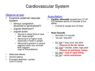 Cardiovascular System