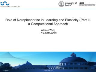 Role of Norepinephrine in Learning and Plasticity (Part II) a Computational Approach
