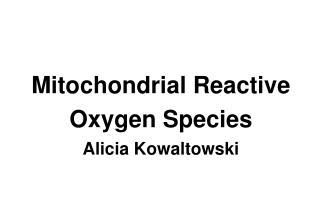 Mitochondrial Reactive Oxygen Species Alicia Kowaltowski