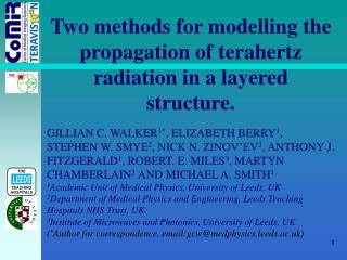 Two methods for modelling the propagation of terahertz radiation in a layered structure.