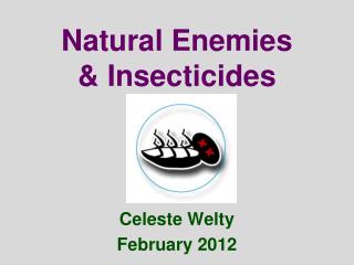 Natural Enemies &amp; Insecticides