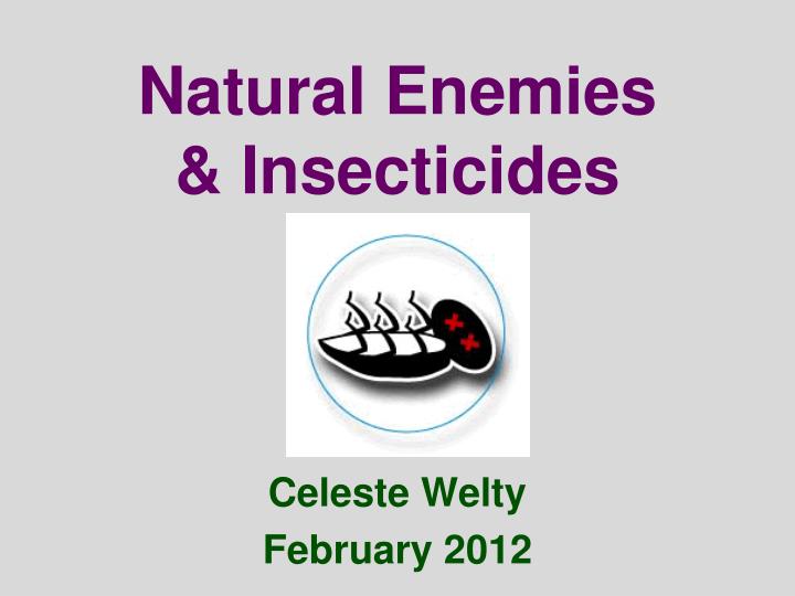 natural enemies insecticides