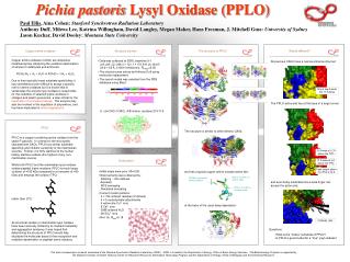 Pichia pastoris Lysyl Oxidase (PPLO)
