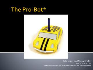 The Pro- Bot *