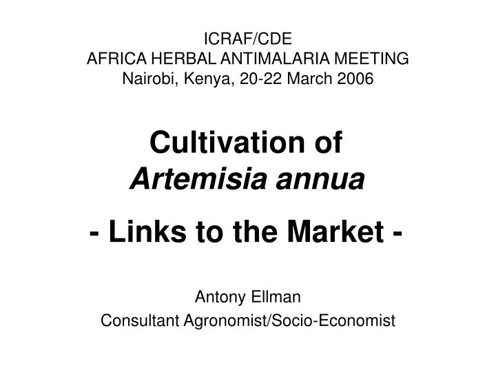 cultivation of artemisia annua links to the market