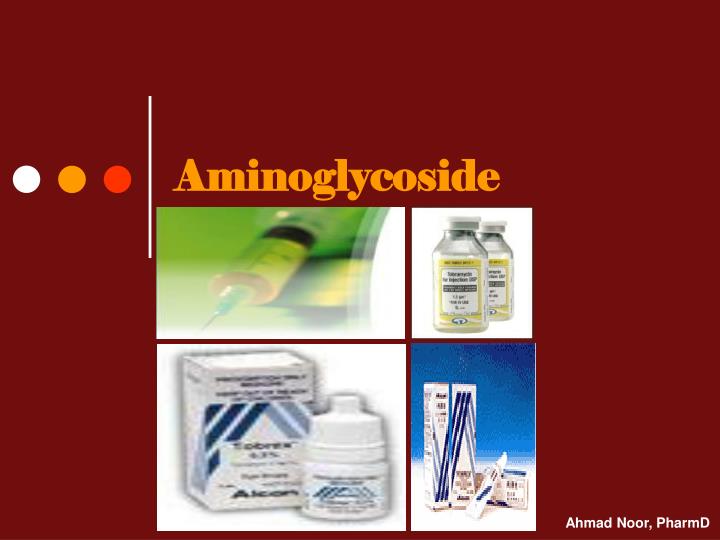 aminoglycoside