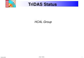 TriDAS Status