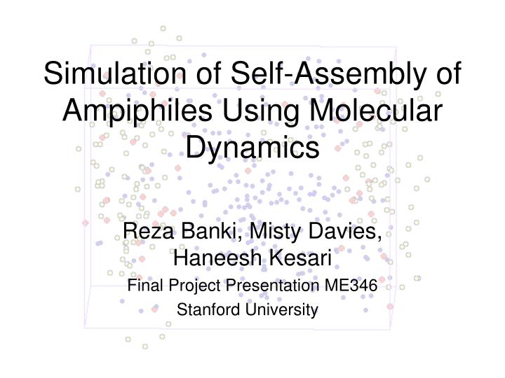 simulation of self assembly of ampiphiles using molecular dynamics