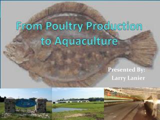 From Poultry Production to Aquaculture
