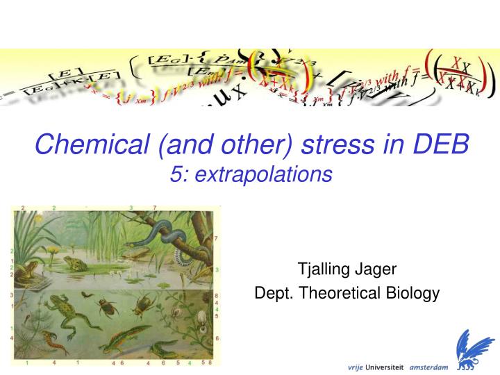 chemical and other stress in deb 5 extrapolations