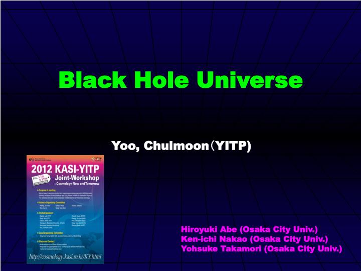 black hole universe