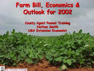 Farm Bill, Economics &amp; Outlook for 2002