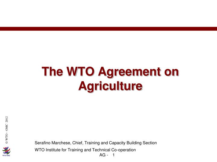 the wto agreement on agriculture