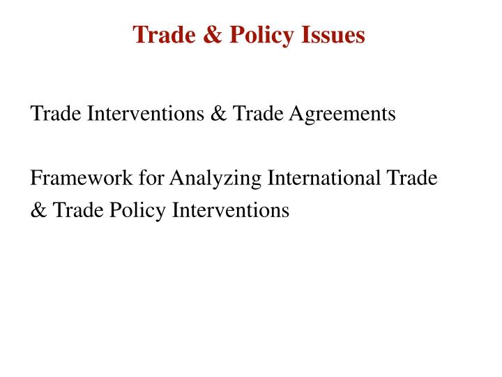 trade policy issues