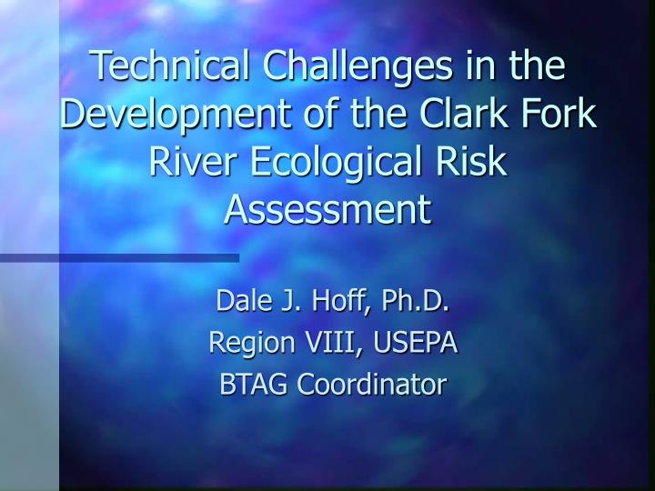 technical challenges in the development of the clark fork river ecological risk assessment