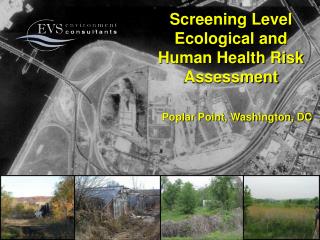 Screening Level Ecological and Human Health Risk Assessment