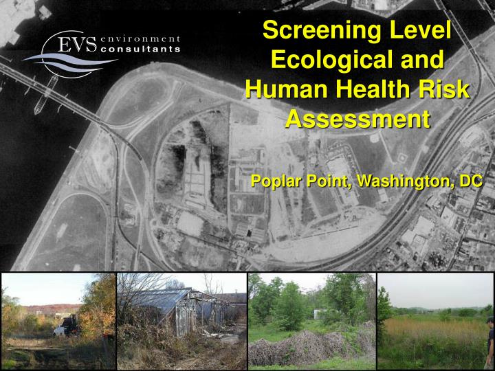 screening level ecological and human health risk assessment