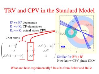 TRV and CPV in the Standard Model