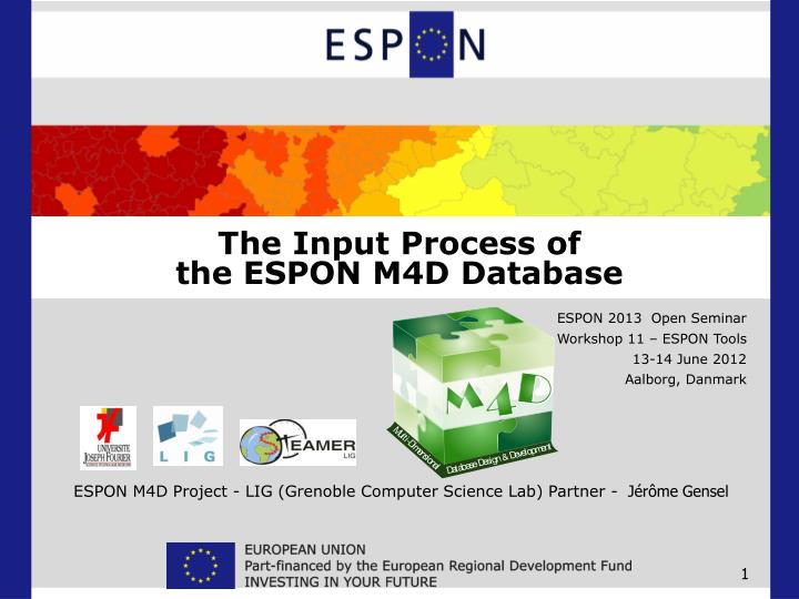 the input process of the espon m4d database