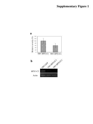 Supplementary Figure 1