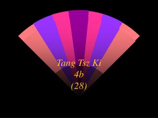 tang tsz ki 4b 28