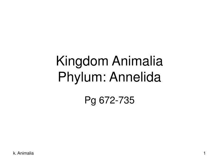 kingdom animalia phylum annelida