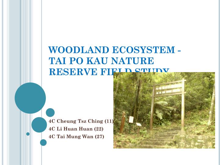 woodland ecosystem tai po kau nature reserve field study