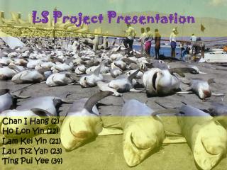 LS Project Presentation