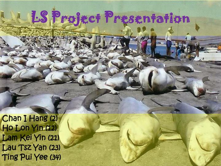 ls project presentation