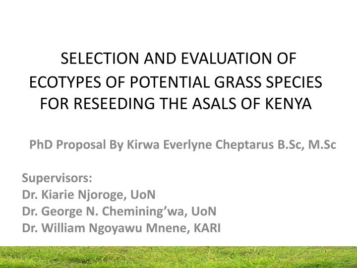 selection and evaluation of ecotypes of potential grass species for reseeding the asals of kenya