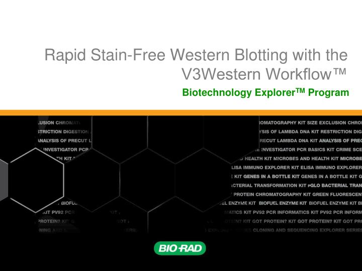 rapid stain free western blotting with the v3western workflow